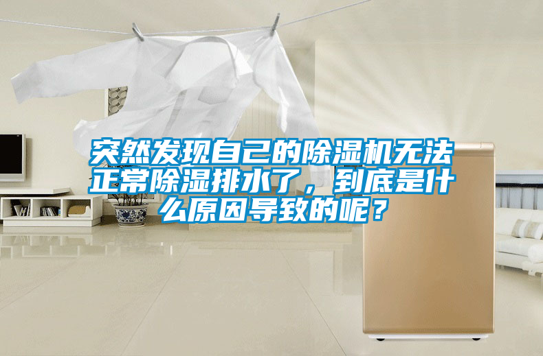 突然發(fā)現(xiàn)自己的除濕機(jī)無(wú)法正常除濕排水了，到底是什么原因?qū)е碌哪兀?/></p>
						    <p style=