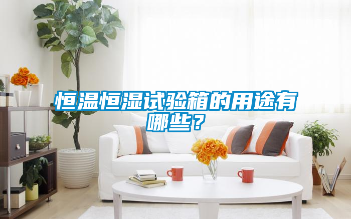 恒溫恒濕試驗(yàn)箱的用途有哪些？