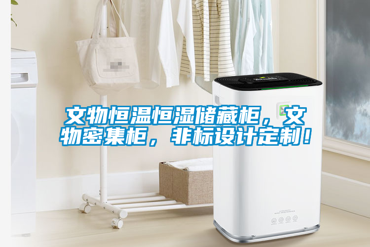 文物恒溫恒濕儲藏柜，文物密集柜，非標(biāo)設(shè)計(jì)定制！