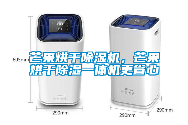 芒果烘干除濕機，芒果烘干除濕一體機更省心