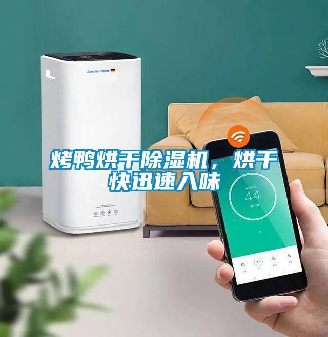烤鴨烘干除濕機(jī)，烘干快迅速入味