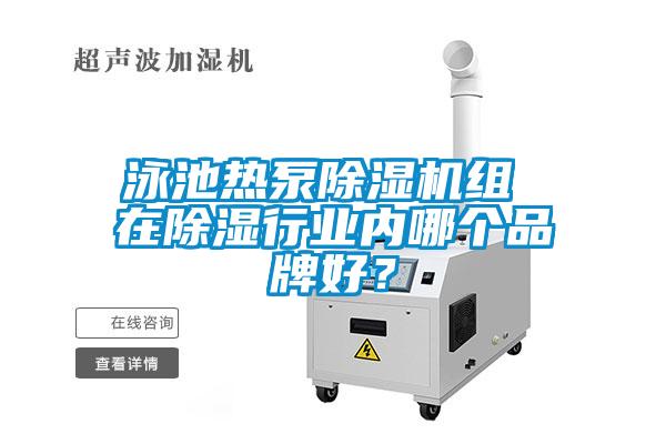 泳池?zé)岜贸凉駲C(jī)組 在除濕行業(yè)內(nèi)哪個品牌好？