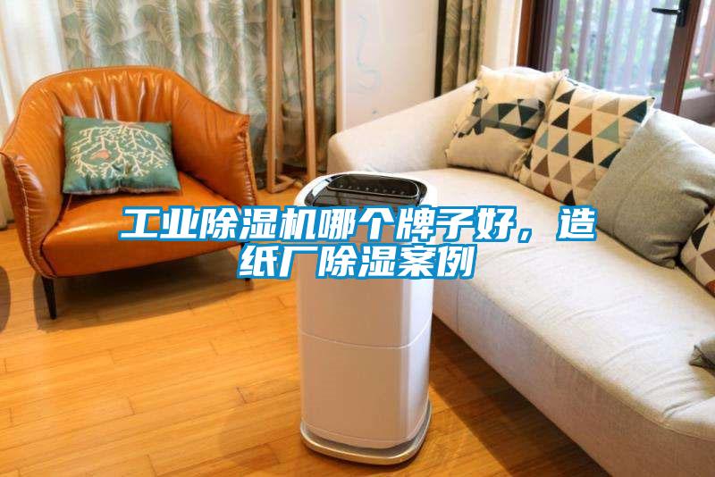 工業(yè)除濕機哪個牌子好，造紙廠除濕案例
