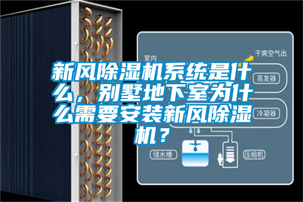 新風除濕機系統(tǒng)是什么，別墅地下室為什么需要安裝新風除濕機？