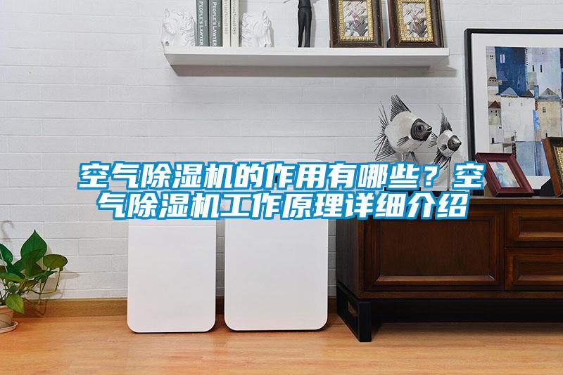 空氣除濕機(jī)的作用有哪些？空氣除濕機(jī)工作原理詳細(xì)介紹