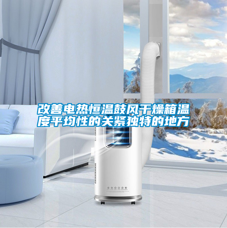 改善電熱恒溫鼓風(fēng)干燥箱溫度平均性的關(guān)緊獨特的地方