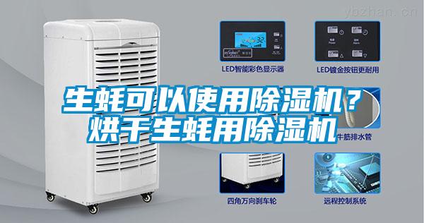 生蠔可以使用除濕機？烘干生蠔用除濕機