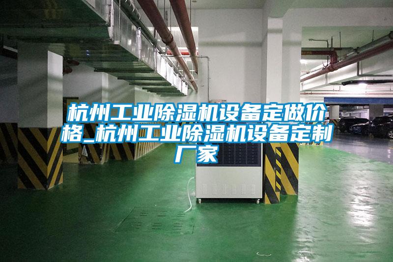 杭州工業(yè)除濕機(jī)設(shè)備定做價(jià)格_杭州工業(yè)除濕機(jī)設(shè)備定制廠(chǎng)家