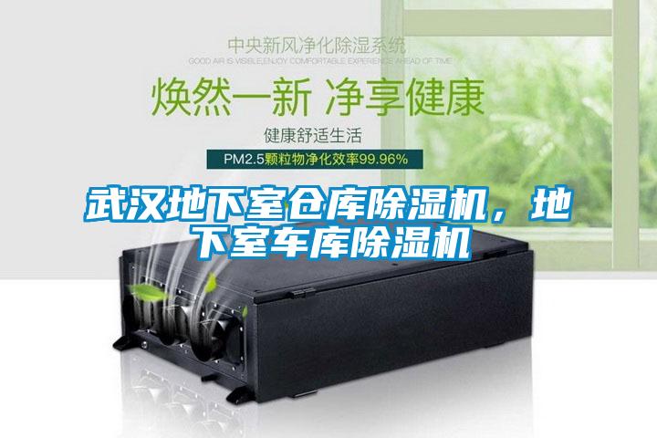武漢地下室倉庫除濕機，地下室車庫除濕機
