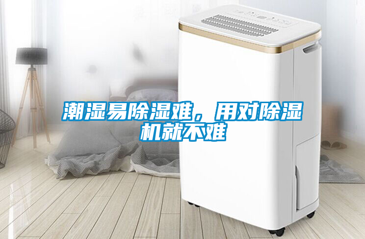 潮濕易除濕難，用對除濕機(jī)就不難