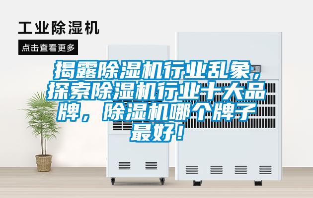 揭露除濕機(jī)行業(yè)亂象，探索除濕機(jī)行業(yè)十大品牌，除濕機(jī)哪個牌子最好！