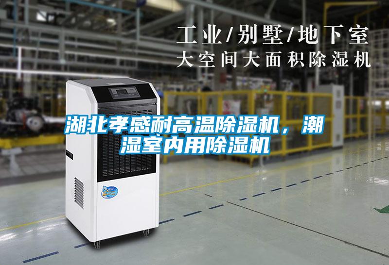 湖北孝感耐高溫除濕機，潮濕室內(nèi)用除濕機