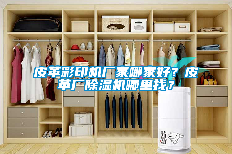 皮革彩印機(jī)廠家哪家好？皮革廠除濕機(jī)哪里找？