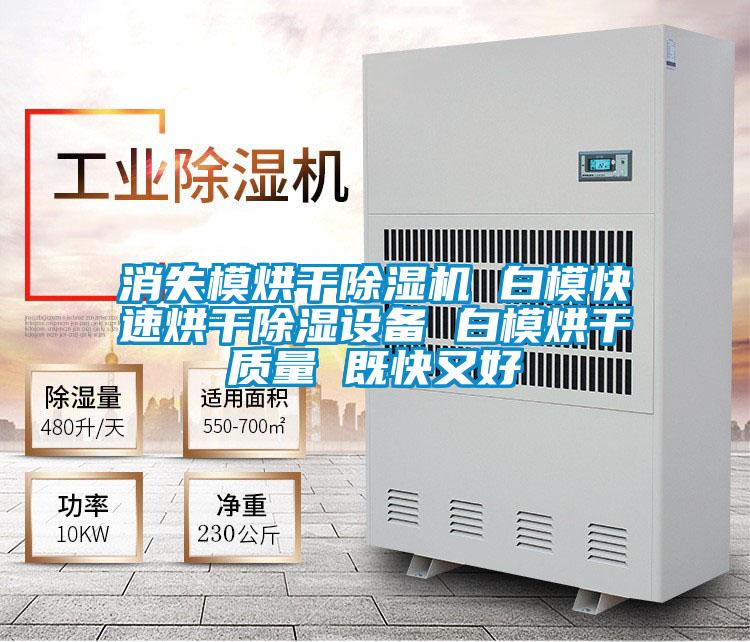 消失模烘干除濕機(jī) 白?？焖俸娓沙凉裨O(shè)備 白模烘干質(zhì)量 既快又好
