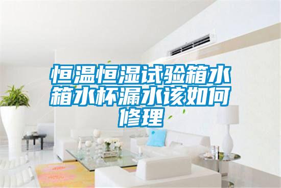 恒溫恒濕試驗箱水箱水杯漏水該如何修理