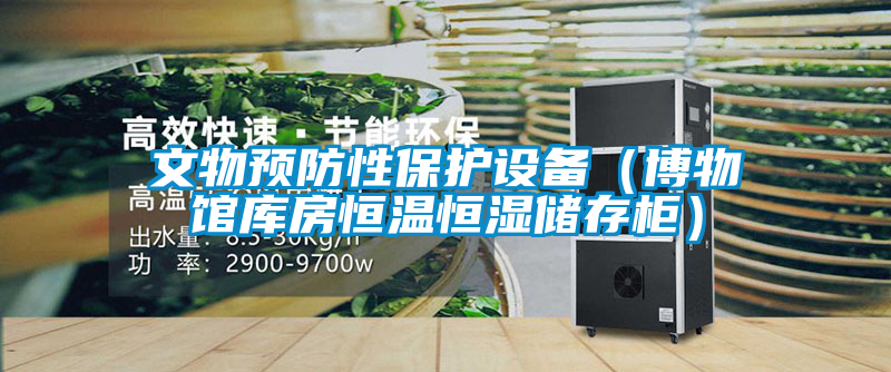 文物預(yù)防性保護(hù)設(shè)備（博物館庫房恒溫恒濕儲存柜）
