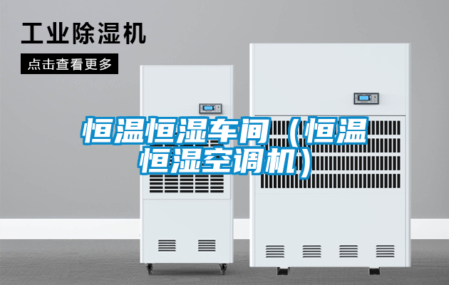 恒溫恒濕車間（恒溫恒濕空調(diào)機(jī)）