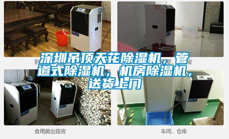 深圳吊頂天花除濕機(jī)，管道式除濕機(jī)，機(jī)房除濕機(jī)，送貨上門