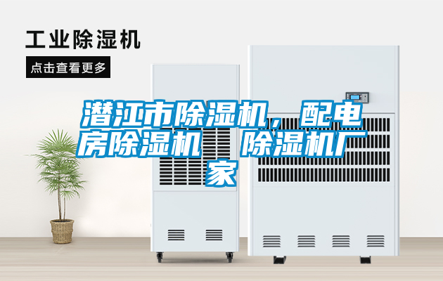 潛江市除濕機(jī)，配電房除濕機(jī)  除濕機(jī)廠(chǎng)家