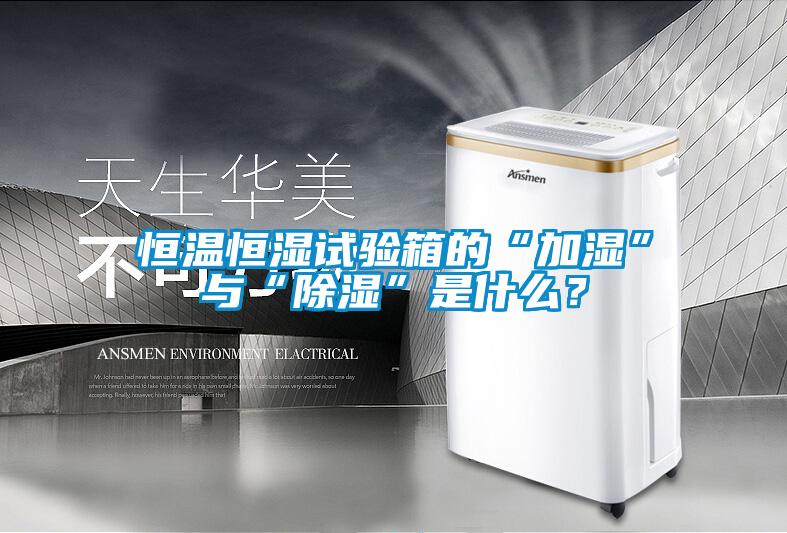 恒溫恒濕試驗(yàn)箱的“加濕”與“除濕”是什么？