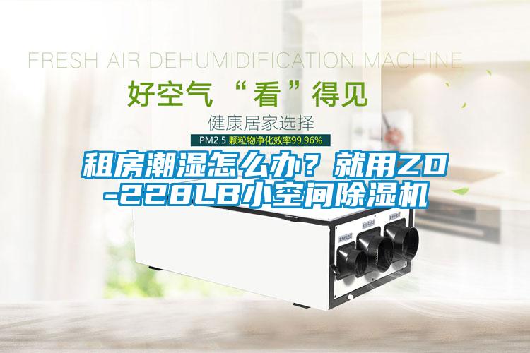 租房潮濕怎么辦？就用ZD-228LB小空間除濕機(jī)