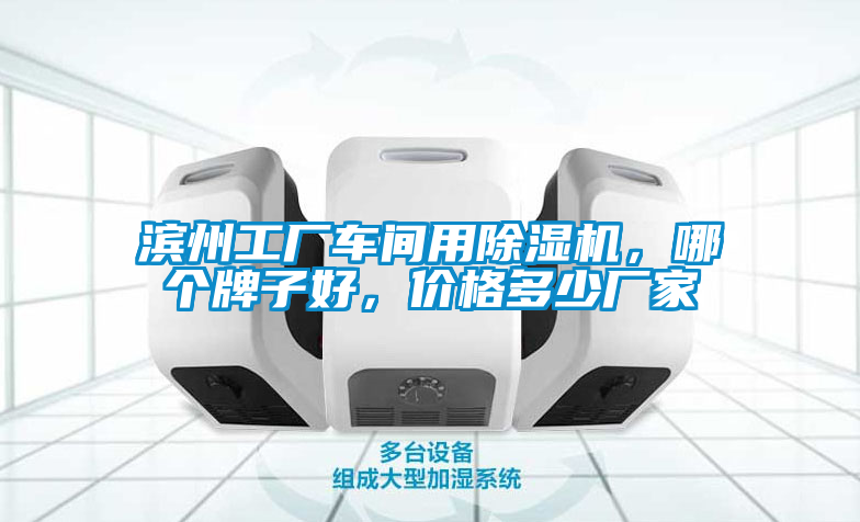 濱州工廠車間用除濕機，哪個牌子好，價格多少廠家