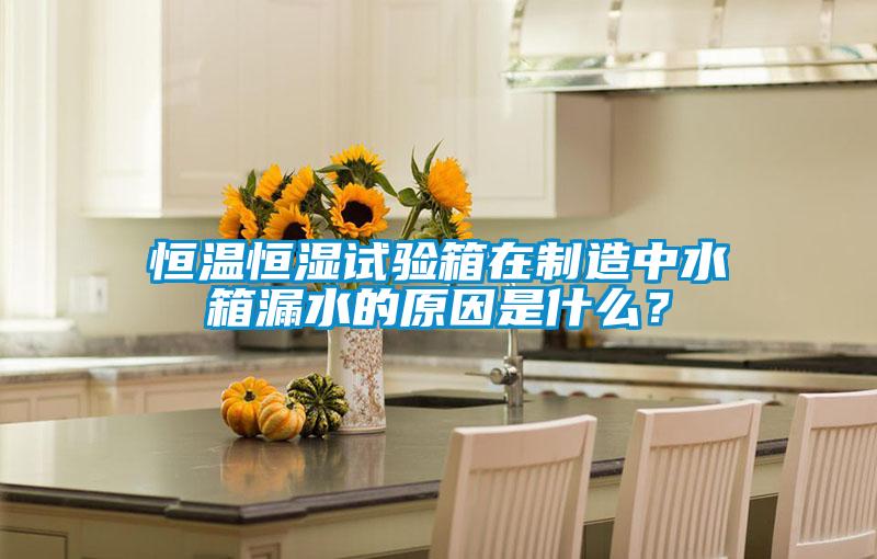 恒溫恒濕試驗(yàn)箱在制造中水箱漏水的原因是什么？