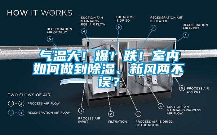 氣溫大！爆！跌！室內(nèi)如何做到除濕、新風兩不誤？