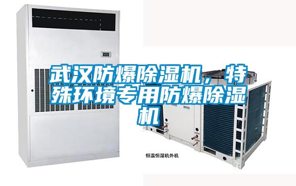 武漢防爆除濕機(jī)，特殊環(huán)境專用防爆除濕機(jī)