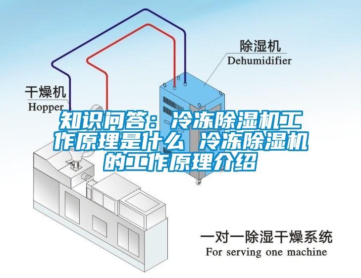 知識問答：冷凍除濕機(jī)工作原理是什么 冷凍除濕機(jī)的工作原理介紹