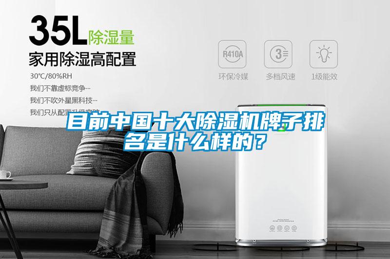 目前中國十大除濕機(jī)牌子排名是什么樣的？