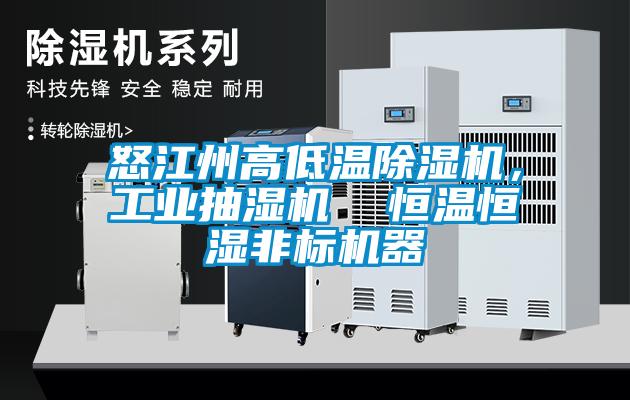 怒江州高低溫除濕機(jī)，工業(yè)抽濕機(jī)  恒溫恒濕非標(biāo)機(jī)器