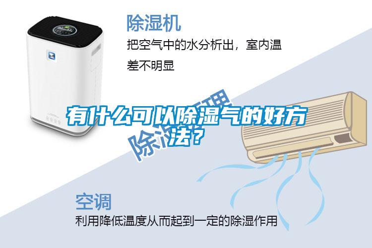 有什么可以除濕氣的好方法？