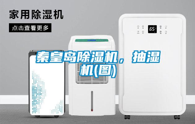 秦皇島除濕機(jī)，抽濕機(jī)(圖)