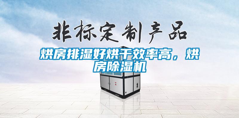 烘房排濕好烘干效率高，烘房除濕機(jī)
