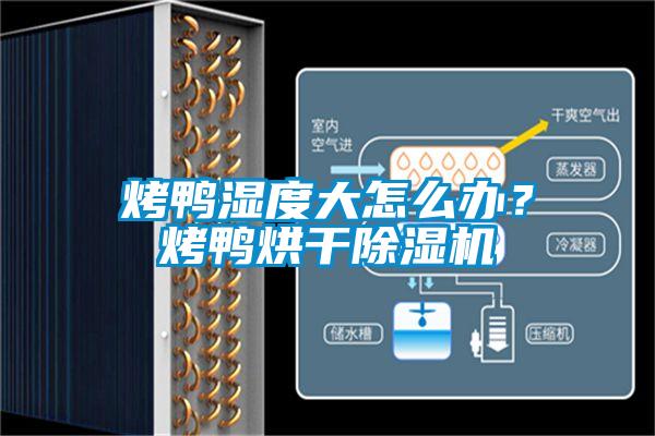 烤鴨濕度大怎么辦？烤鴨烘干除濕機(jī)