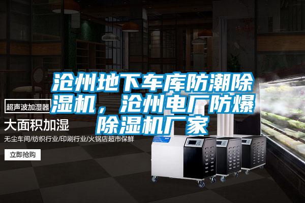 滄州地下車庫防潮除濕機(jī)，滄州電廠防爆除濕機(jī)廠家