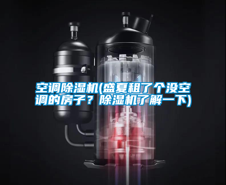 空調(diào)除濕機(jī)(盛夏租了個(gè)沒(méi)空調(diào)的房子？除濕機(jī)了解一下)