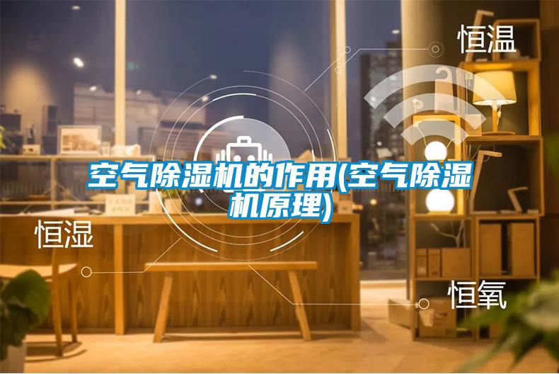 空氣除濕機的作用(空氣除濕機原理)