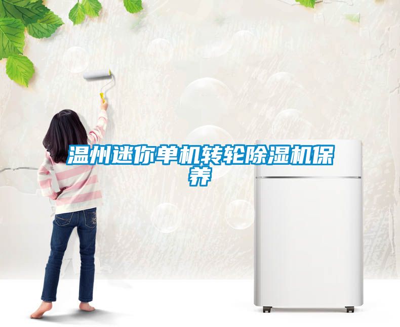溫州迷你單機轉(zhuǎn)輪除濕機保養(yǎng)