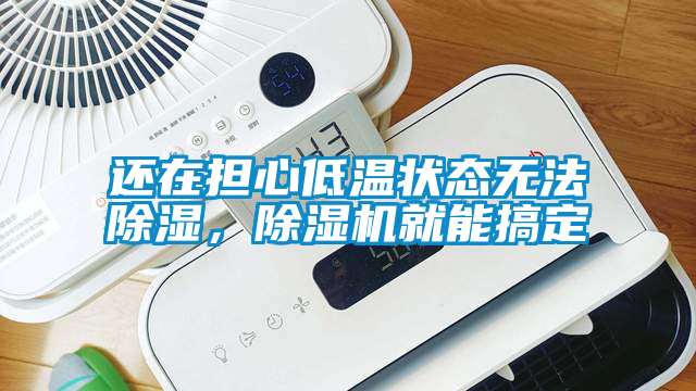 還在擔(dān)心低溫狀態(tài)無法除濕，除濕機(jī)就能搞定