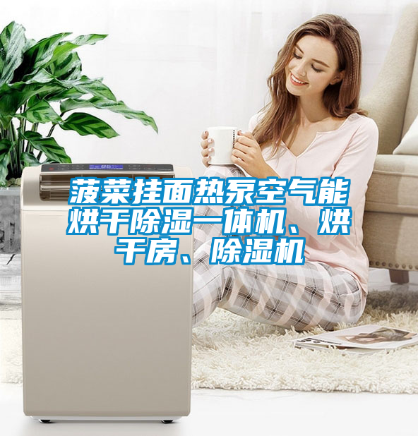 菠菜掛面熱泵空氣能烘干除濕一體機、烘干房、除濕機