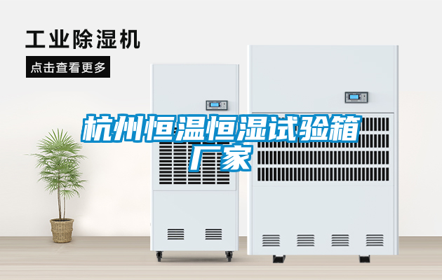杭州恒溫恒濕試驗(yàn)箱廠家