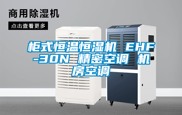 柜式恒溫恒濕機 EHF-30N 精密空調(diào) 機房空調(diào)