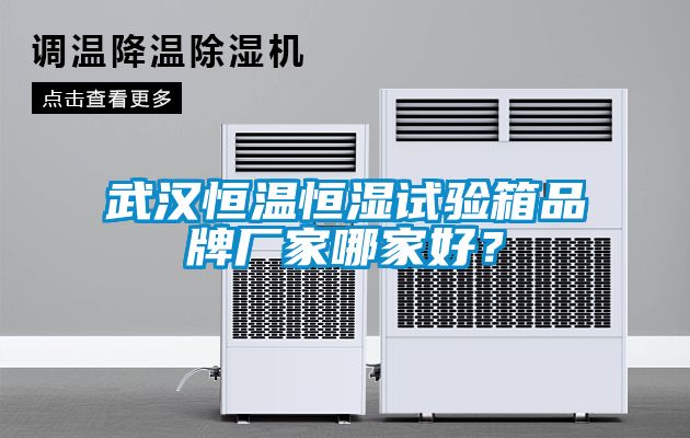 武漢恒溫恒濕試驗(yàn)箱品牌廠(chǎng)家哪家好？