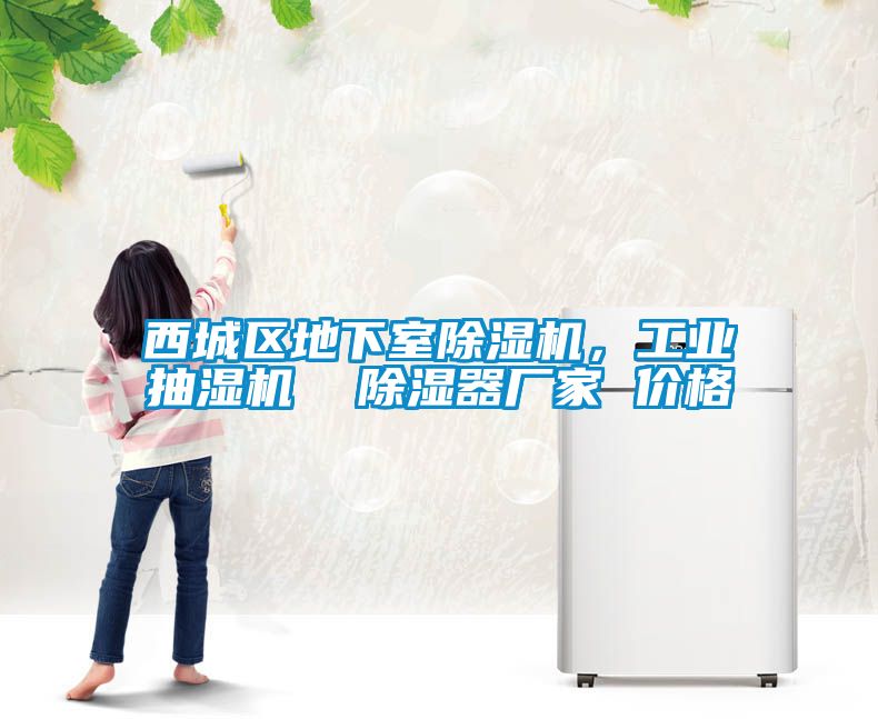 西城區(qū)地下室除濕機，工業(yè)抽濕機  除濕器廠家 價格