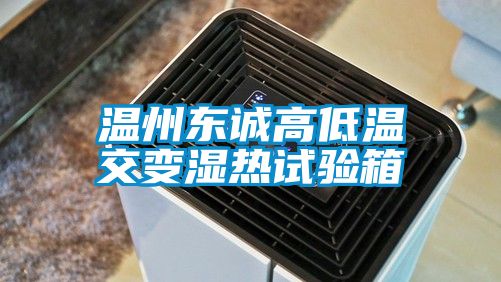 溫州東誠(chéng)高低溫交變濕熱試驗(yàn)箱