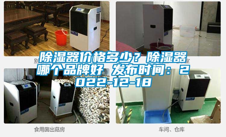除濕器價(jià)格多少？除濕器哪個(gè)品牌好 發(fā)布時(shí)間：2022-12-18