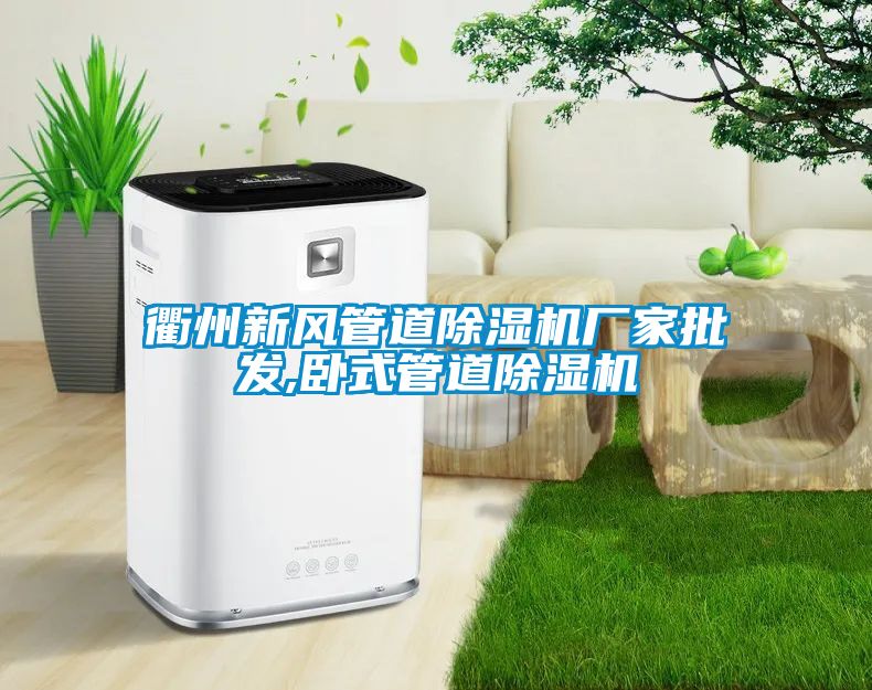 衢州新風(fēng)管道除濕機(jī)廠(chǎng)家批發(fā),臥式管道除濕機(jī)