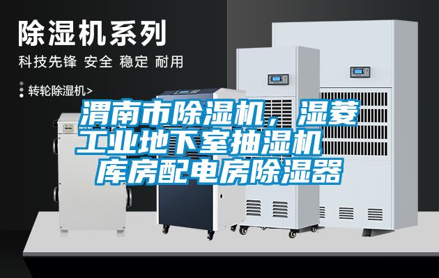 渭南市除濕機(jī)，濕菱工業(yè)地下室抽濕機(jī)  庫房配電房除濕器